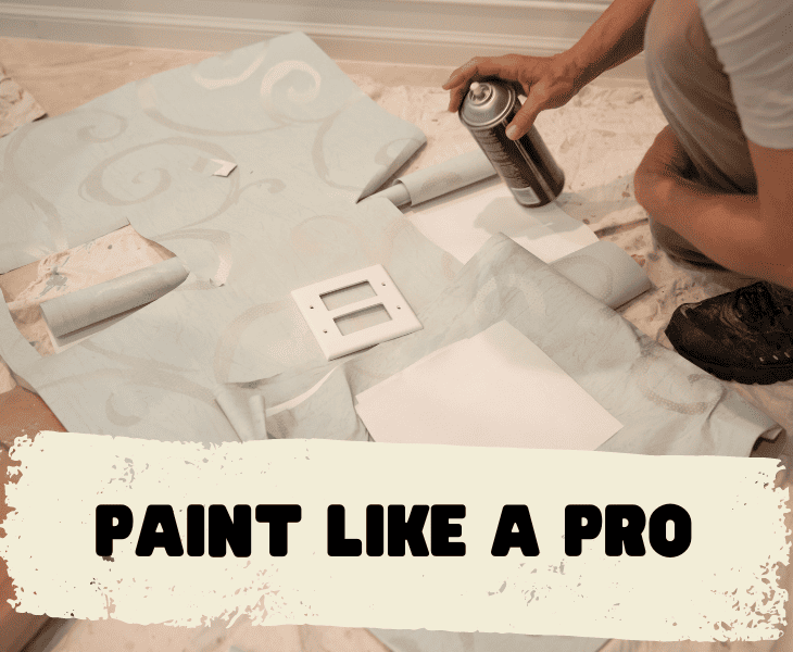painting the light switches like a pro