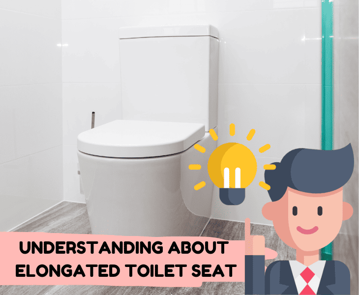 understand more about elongated toilet seat