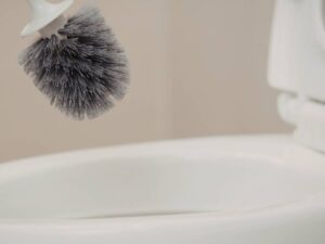 Commercial Toilet Bowl Cleaner