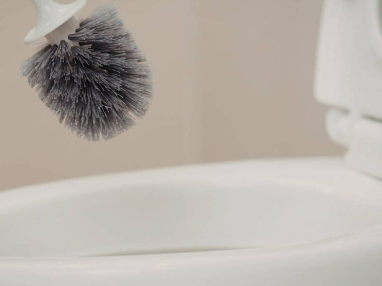 Commercial Toilet Bowl Cleaner