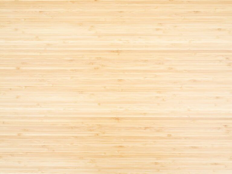 Floor Care Products