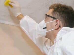 Industrial Mold Remover