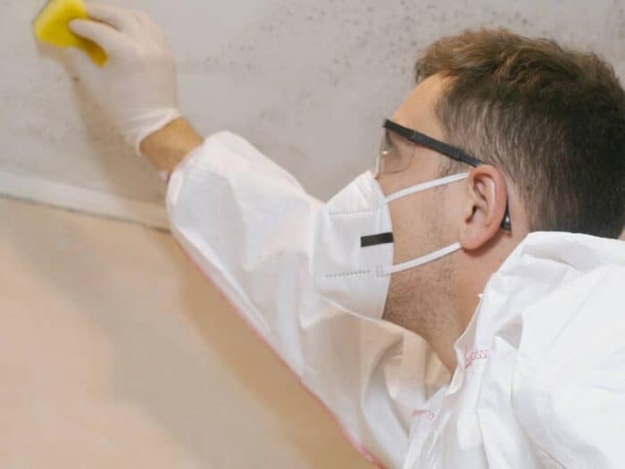Industrial Mold Remover