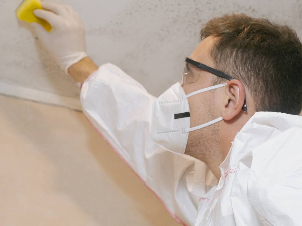 Industrial Mold Remover