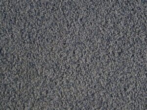 Low Moisture Carpet Cleaning
