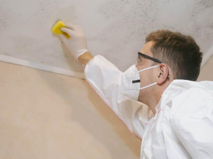 Mold Cleaners