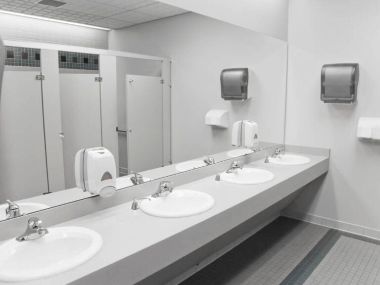 Non Toxic Bathroom Cleaner