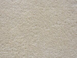 Professional Carpet Deordorizer
