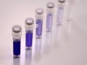 dilution rate