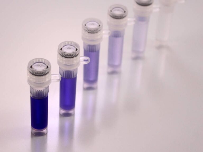 dilution rate