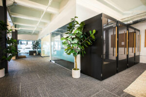 Modern open office with gray commercial carpet and glass walls, an example of a high-traffic area that needs commercial carpet cleaning