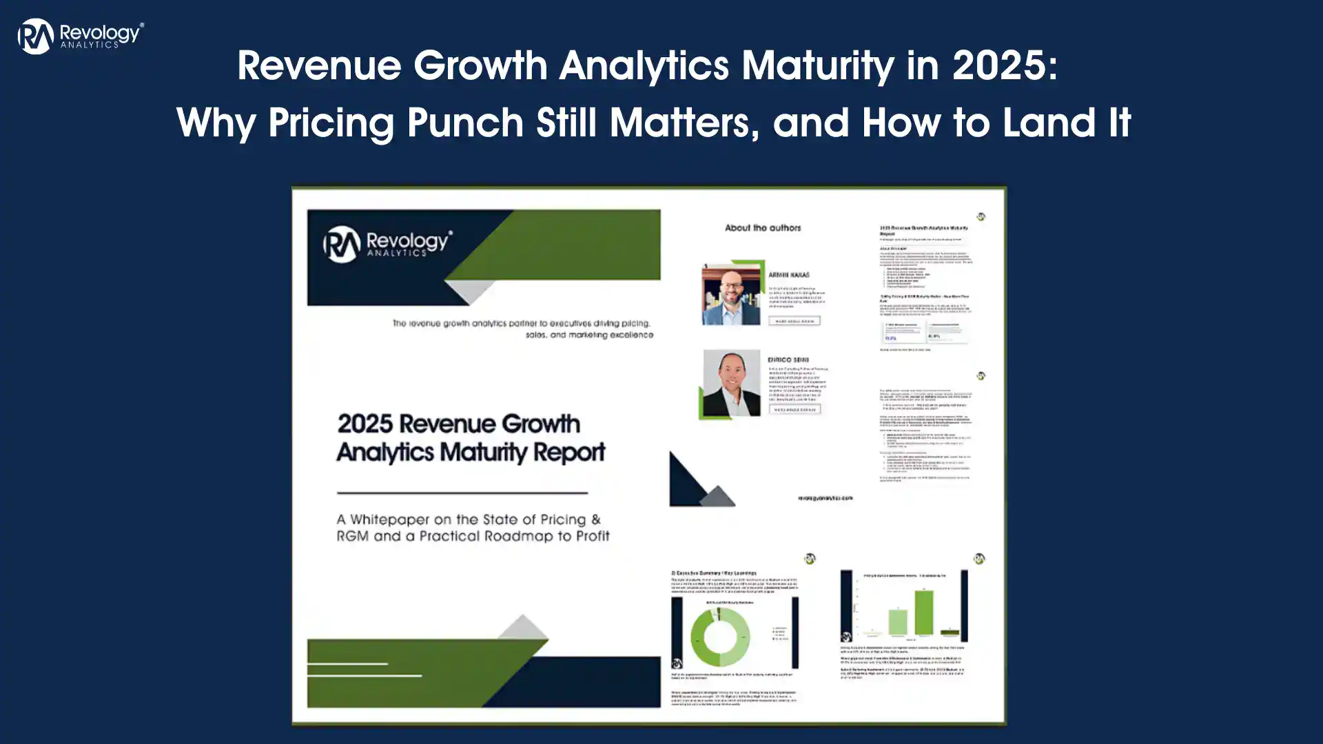 Revenue Growth Analytics Maturity in 2025: Why Pricing Punch Still Matters, and How to Land It 1 sq Revenue Growth Analytics Maturity in 2025 1