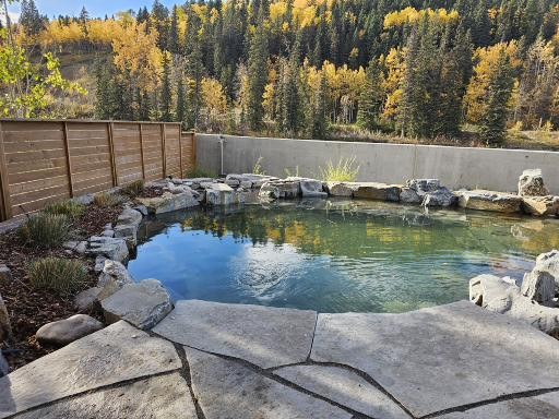 Patio Pond