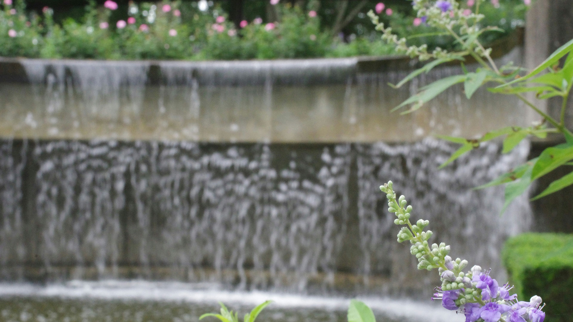 Tranquil Concrete and Plants Waterfall