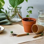 sprout un crayon qui se plante et devient une plante