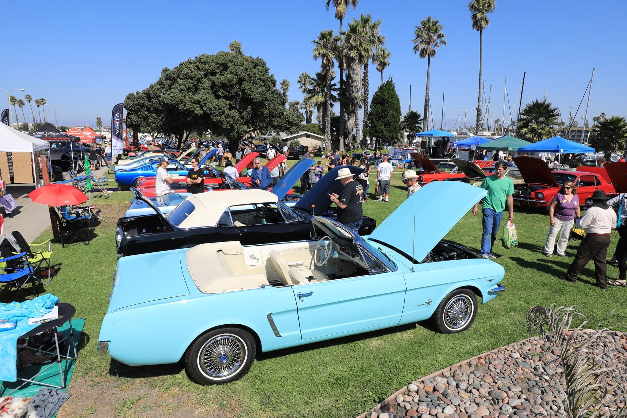 Beautiful classic cars at Channel Islands Harbor during the 2026 Ponies by the Sea Car Show.