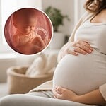 votre trente cinquieme semaine de grossesse