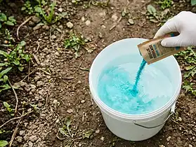 Dosage de la bouillie bordelaise pour 1 litre d'eau