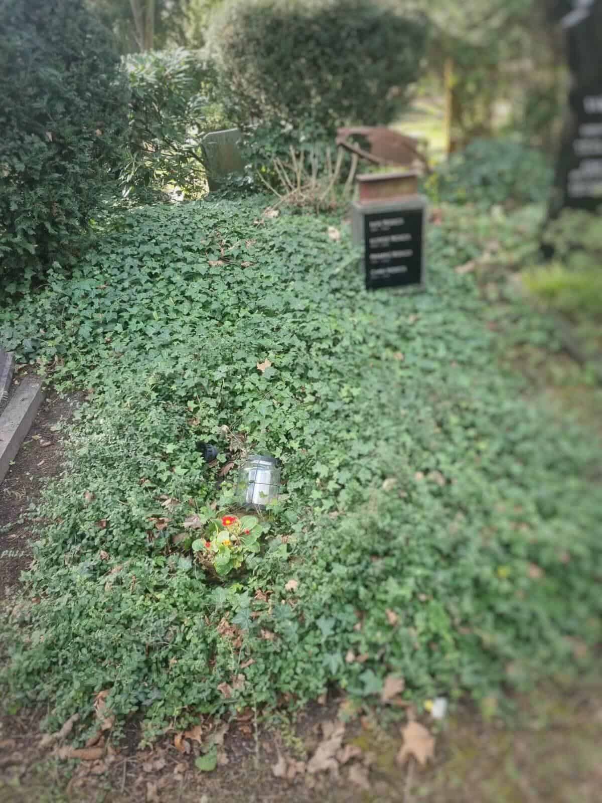 Verwahrloste Grabstätte mit Blumen und Kerze, umgeben von Unkraut und Büschen.