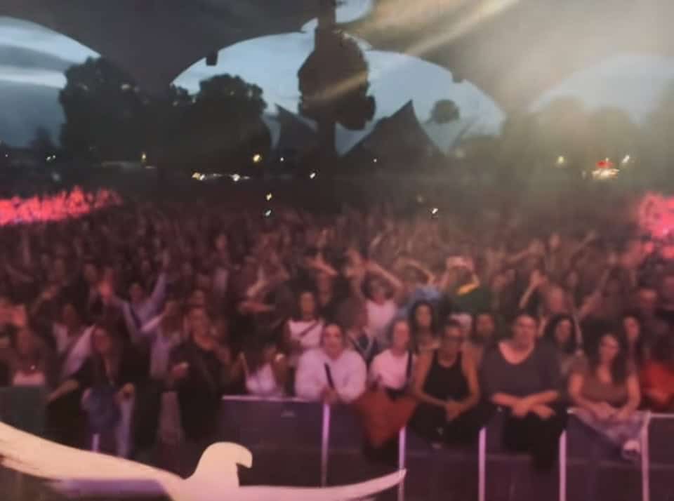 Jubelnde Zuschauermenge bei einem Konzert im Tanzbrunnen bei Abendlicht
