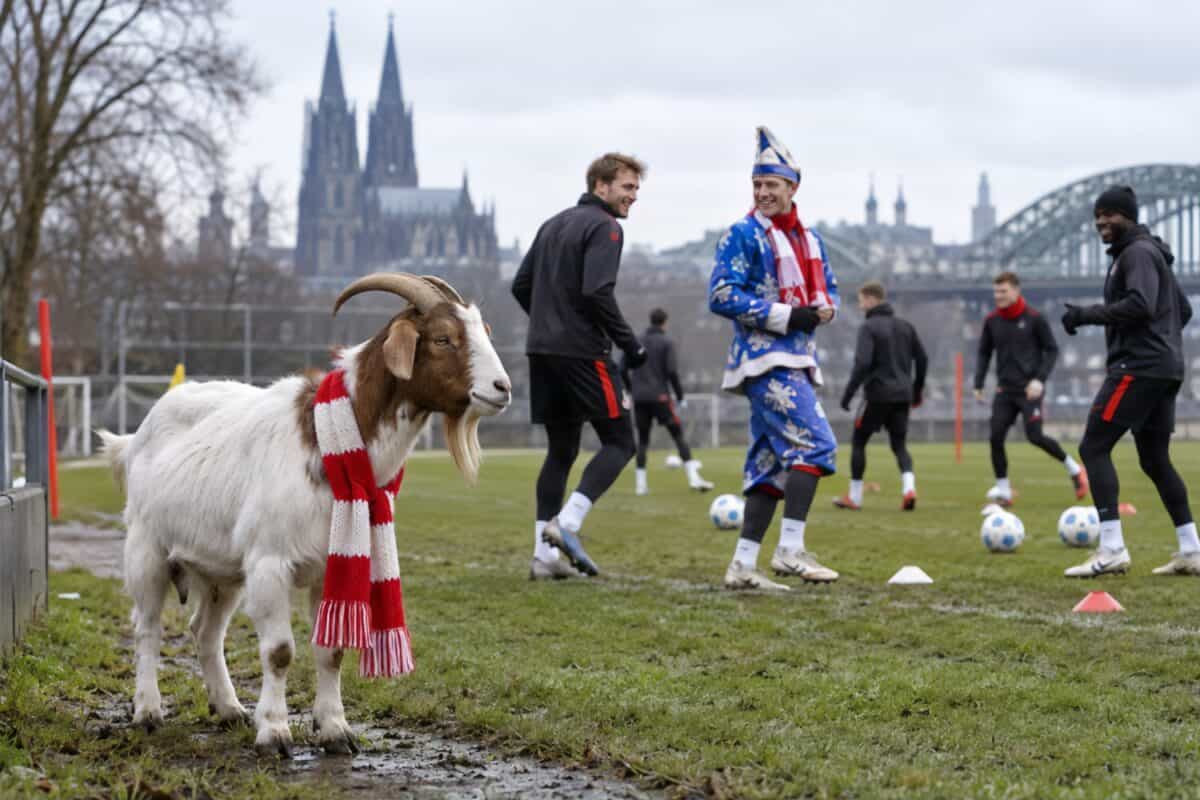 Spieler und Geißbock in Karnevalskostüm auf dem Fußballplatz