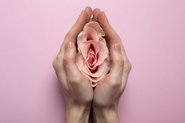 Woman holding rose representing female reproductive system awareness