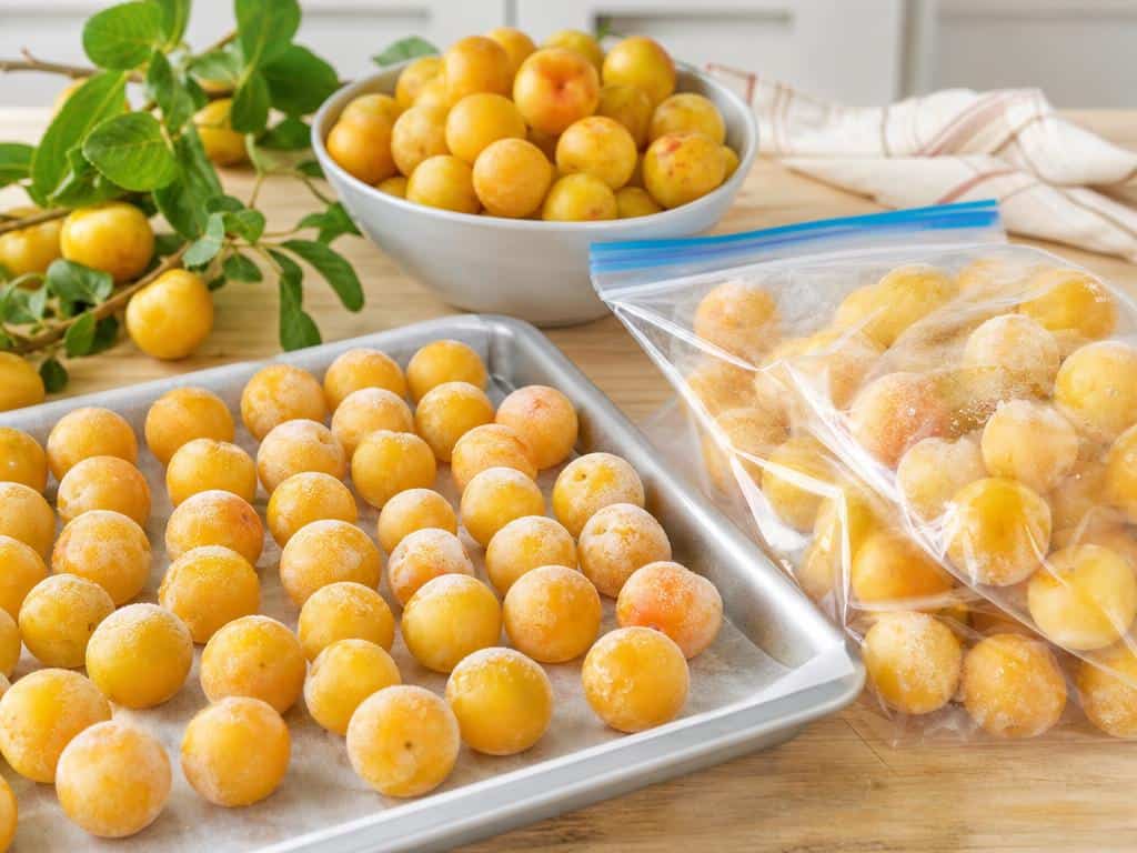 congeler des mirabelles