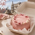 avis sur my bento cake