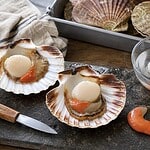 comment ouvrir des coquille st jacques