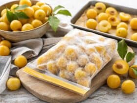 congeler des mirabelles