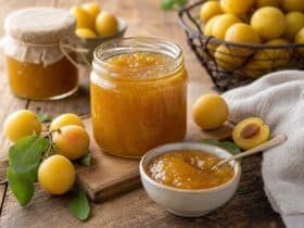 confiture de mirabelles pas trop sucrée