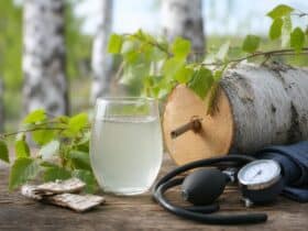 seve de bouleau et hypertension