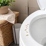 vers dans les toilettes