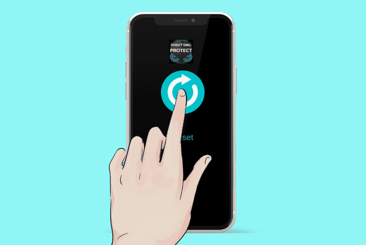 Night Owl No Signal All Cameras? (No Panic Do This First!) 10 reset the recorder to default settings