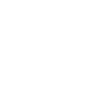 Web Automation Script