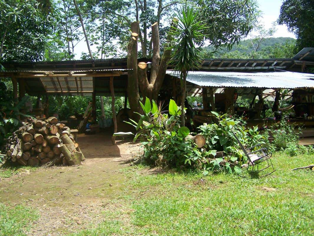 Ecoaldea Tacotal eco-village with natural structures and lush greenery.