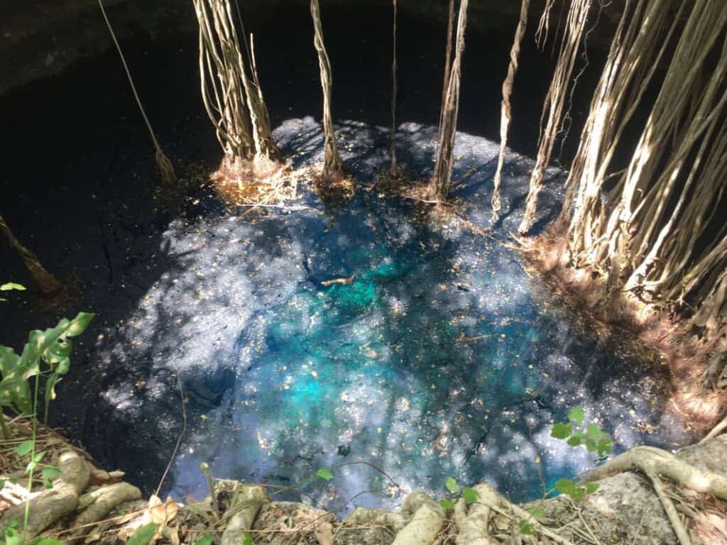 Natural water source surrounded by trees in an ecovillage setting.