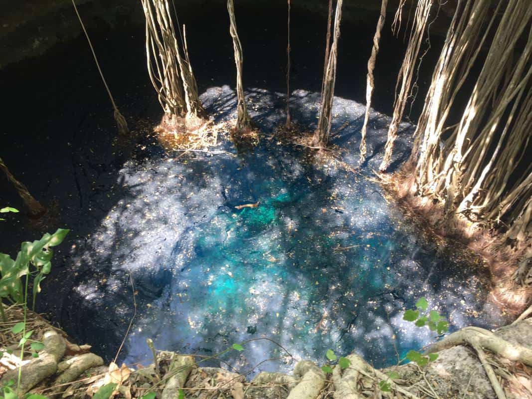 Natural water source surrounded by trees in an ecovillage setting.