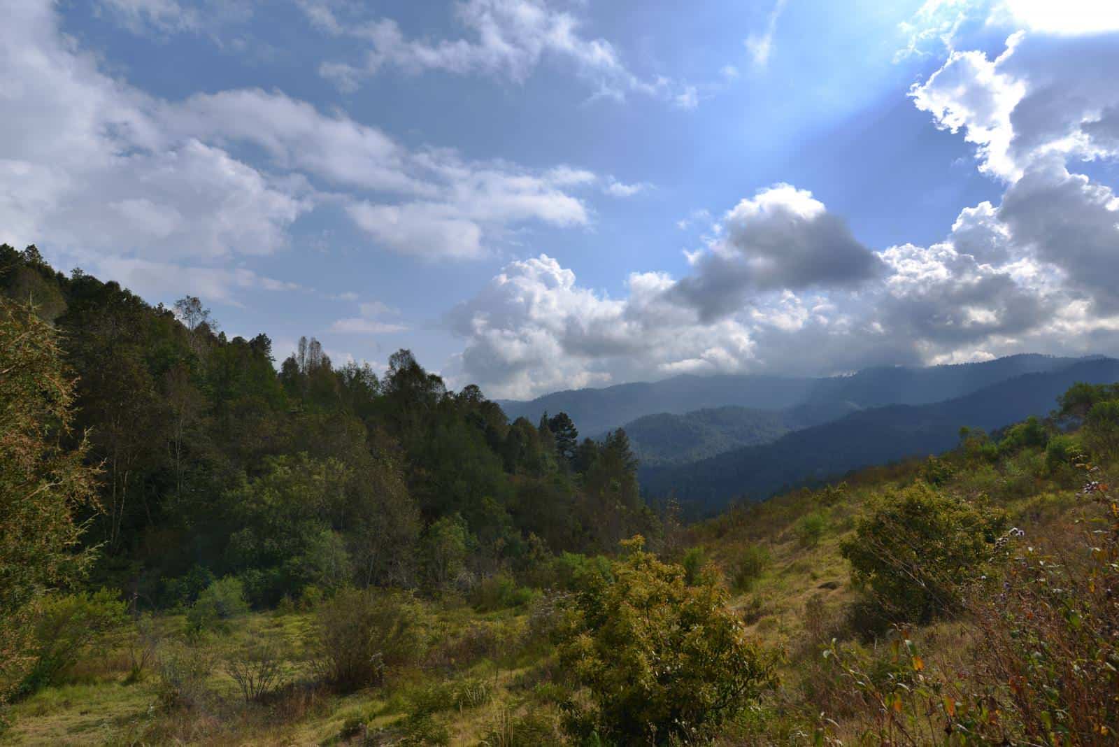 Beautiful mountain landscape with forests and cloudy sky in the background.
