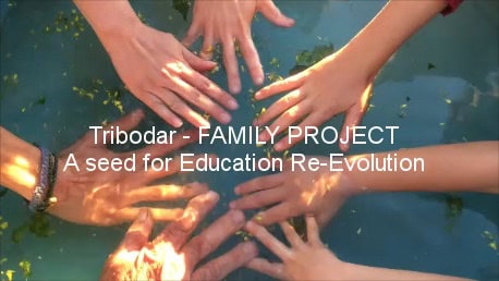 Hands of diverse people joining together over water for eco-friendly project.