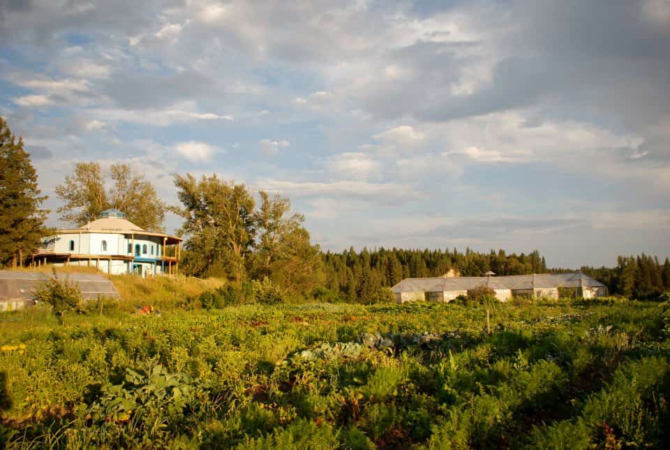 Scenic view of eco-friendly village with green fields and sustainable buildings.