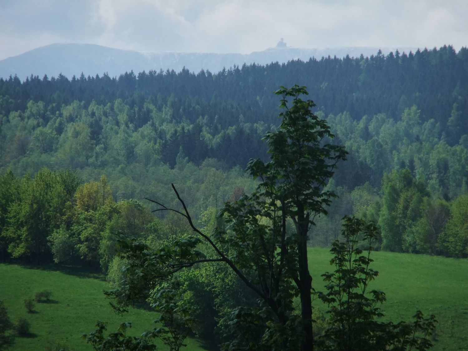 View-on-the-mountains.jpg