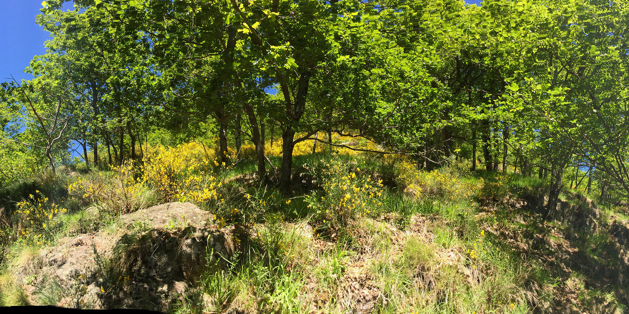 Zonca-Above-the-Village.jpg