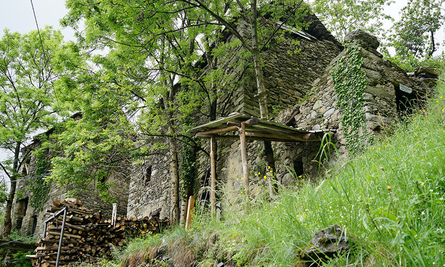 Zonca-Primary.jpg