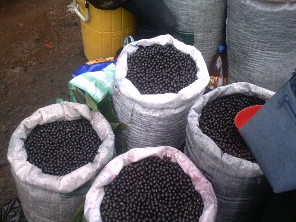 acai.jpg