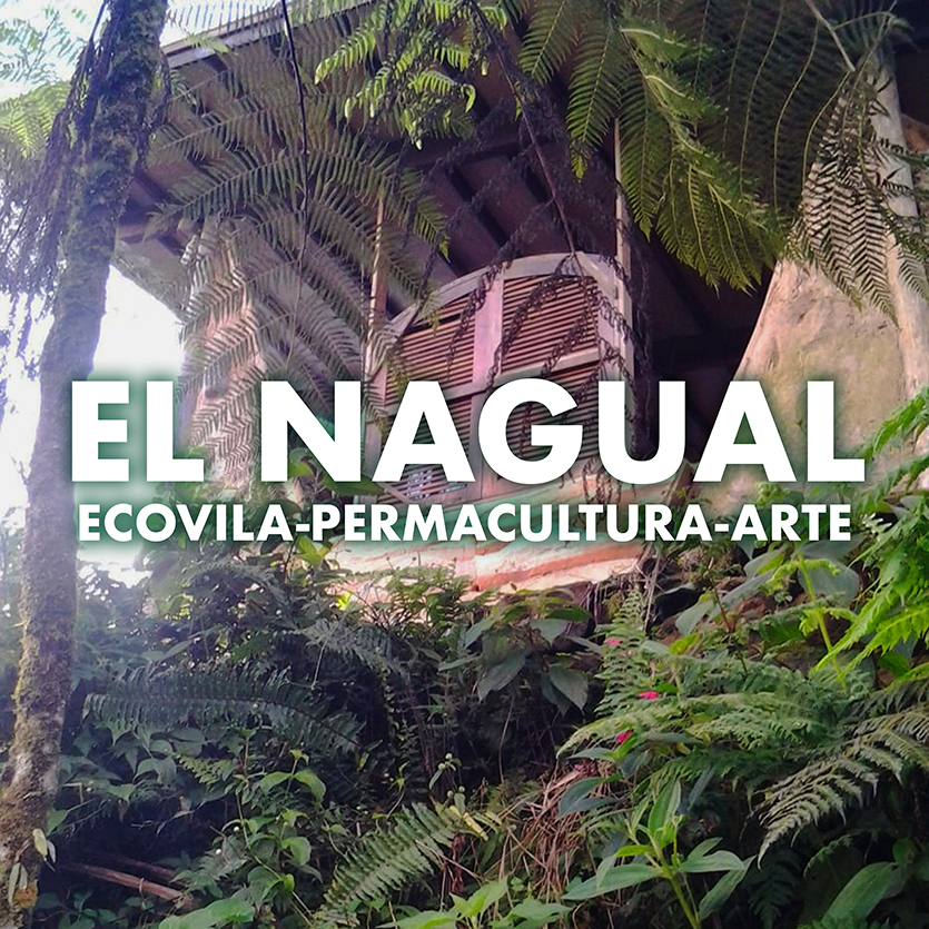el-nagual-profile.jpg