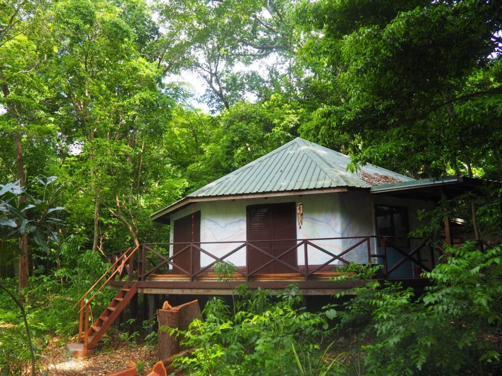 gallery1.jpg