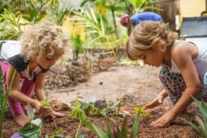twinning-regenerative-educators-escola-da-esperanca-tamera-ecovillage-portugal-almar-school-piracanga-ecovillage-brazil