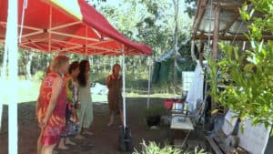 peace-ark-a-collaboration-between-peace-valley-and-korogonas-ark