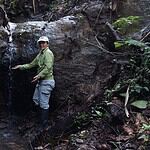 Person exploring a natural water source in a lush forest setting.